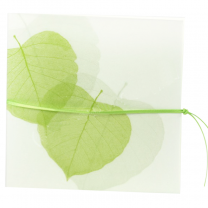 Ausgefallene Hochzeitseinladung "Grüne Blätter" mit transparentem Umleger, veredelt mit zartem Blätterdruck und feiner Zierkordel