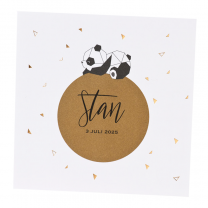 Niedliche Geburtskarten "Panda" mit edler Kupferfolienprägung