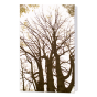 Sterbebilder & Trauerbildchen "Bäume"
