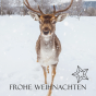 Stimmungsvolle Weihnachtskarten "Hirsch" - Detailansicht