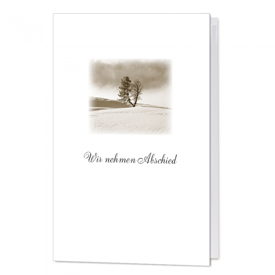 Trauerkarten "Baum" mit stimmungsvollem Landschaftsmotiv