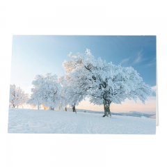 Fotoweihnachtskarten "Winter"