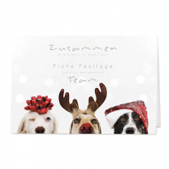 Moderne Weihnachtskarten "Hunde"