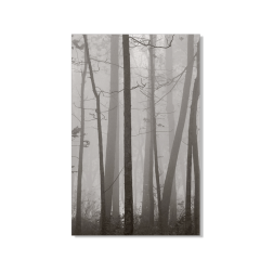 Trauerbildchen / Totenzettel "Wald"